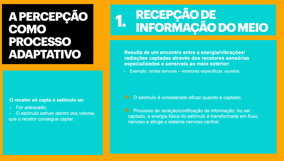 Recepçao da Informação