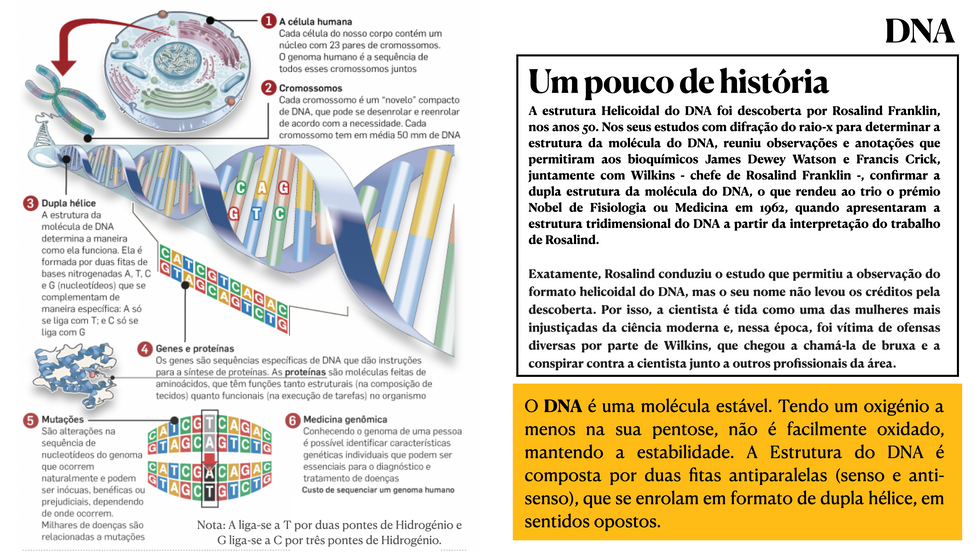 DNA - Introdução