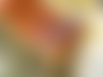 "1日1枚" 2月16日 チーズはケーキに