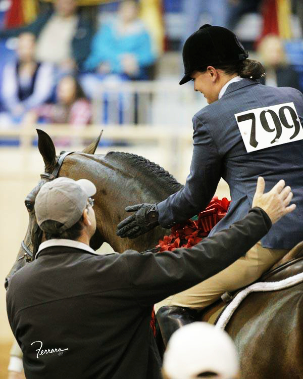 Conway Arabians Arabian Horse Farm Chatfield, Minnesota