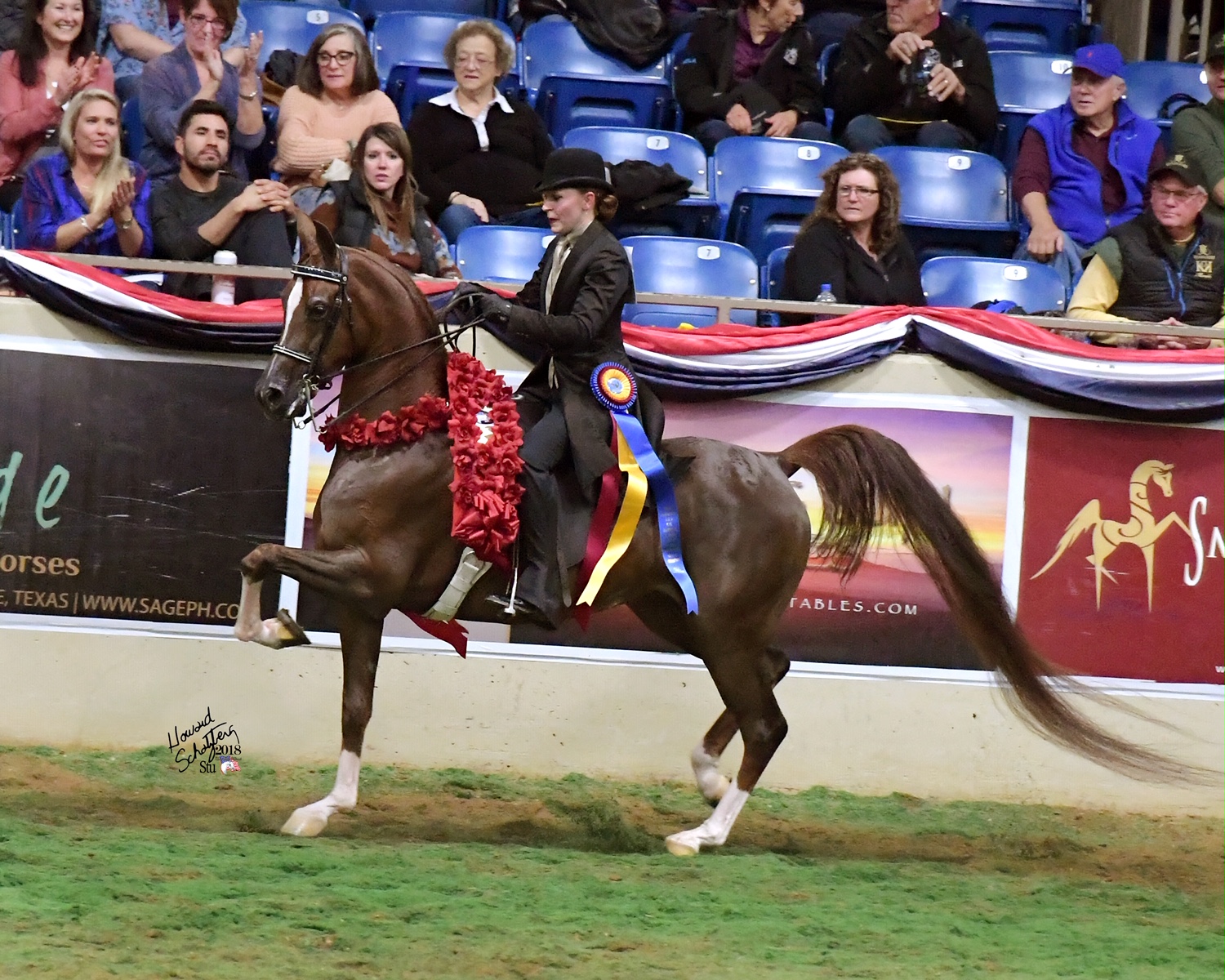 Conway Arabians Arabian Horse Farm Chatfield, Minnesota