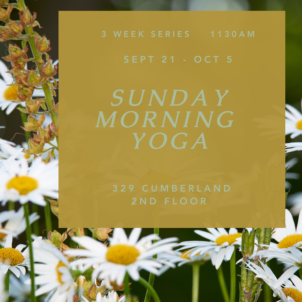 3 week Sunday series Sept 21 - Oct 5 1130am