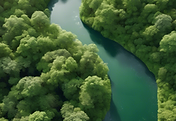 inject-blog-service_1736355566124.png