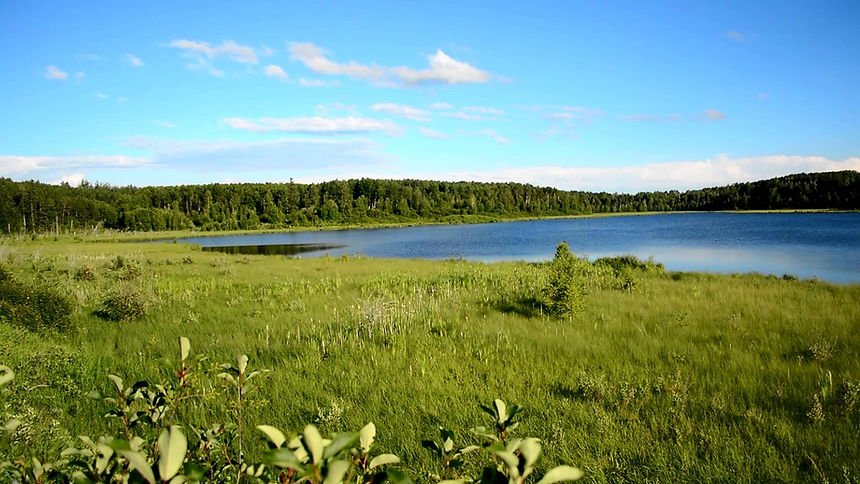 coyote-lake.jpg