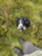 IMG_4627.jpeg