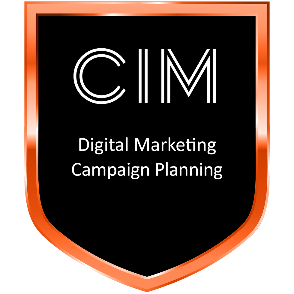 CIM certificate 2024 - EW.png