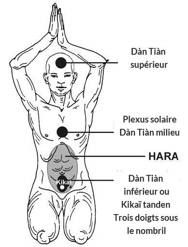 les portes des : dan tien ou dan tian