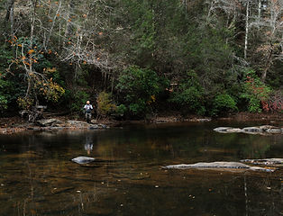 DSC_5934_406.JPG