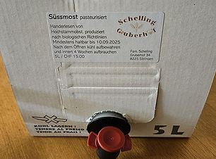 IMG-20250109-WA0226.jpg