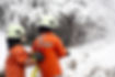 IMG-20231205-WA0006.jpg