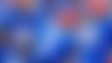 Yellow Flag Fever: Untimely Penalties Leave Gators Gasping 