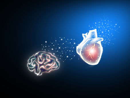 The Heart-Brain Connection