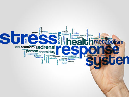 7 Ways to Boost Your Immune System