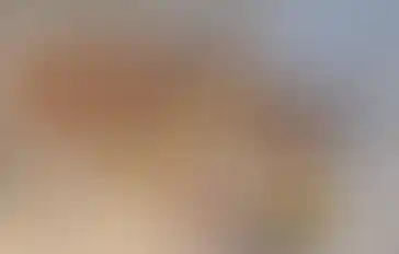 שרשרת מאלה אבני חן קורל, ברקת וענברים בגימור זהב יוקרתי מעצבת פז בק