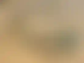 שרשרת ייחודית המשלבת מגוון אבני חן : טורקיז, טורקיז טיבטי, ענבר בשלושה גוונים, ואוניקס פז בק