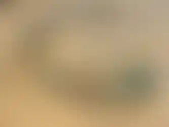 שרשרת ייחודית המשלבת מגוון אבני חן : טורקיז, טורקיז טיבטי, ענבר בשלושה גוונים, ואוניקס פז בק