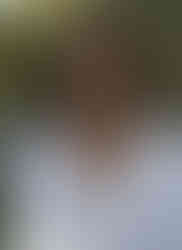 אבני חן-שילוב של ענברים מיוחדים בגוונים שונים,אבני טורקיז,קורלים,טורקיז אפריקאי,זואיסייט,חרוז טיבטי עיצוב פז בק