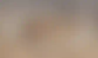 שרשרת פנינים קלאסית יוניסקס אלגנטיות נצחית בגימור כסף סטרלינג 925 מעצבת פז בק