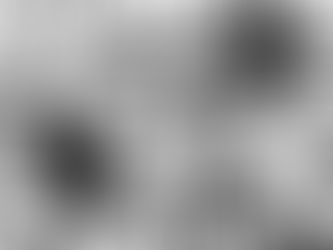 Lost Between Details Chapter 2 Comming Soon