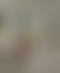 Cinzia Franchini, Ruote Libere: "Si scrive ottimizzazione ma si legge sfruttamento"