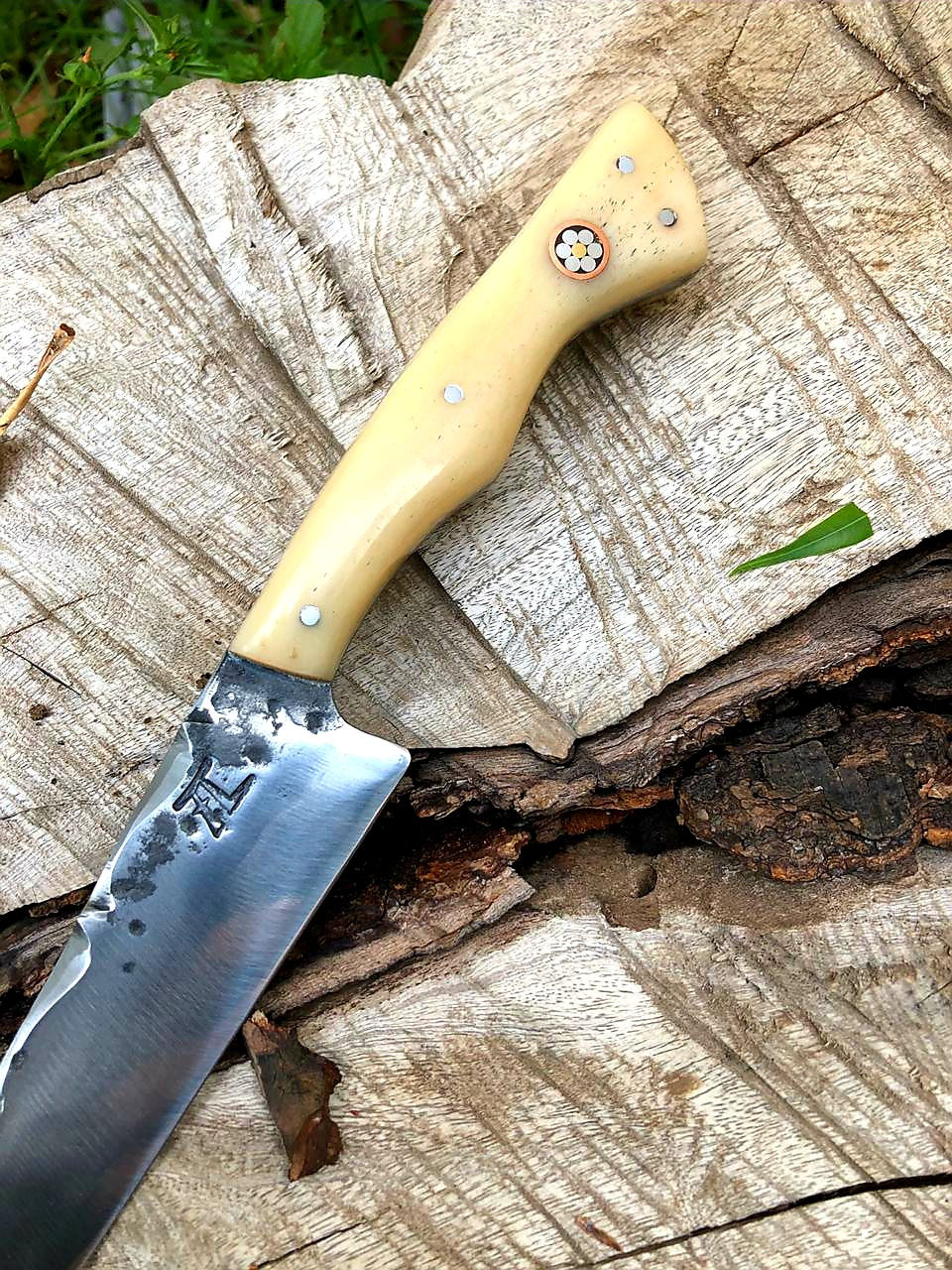 Miniatura: Faca Mimosa 6" Osso FC