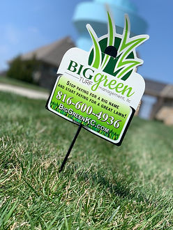 lawn sign.jpg