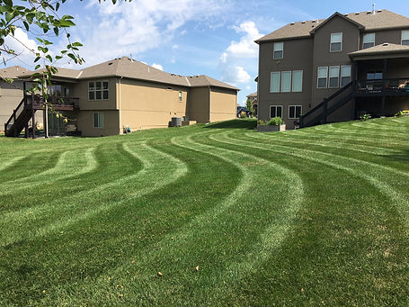 Jeff Dougherty Stripes.JPG