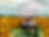 FullSizeRender.heic