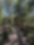 Contact First Option .jpeg
