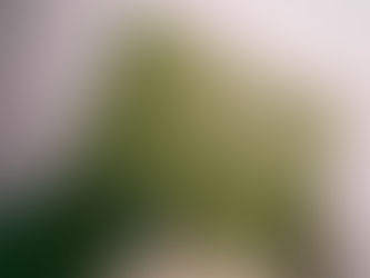 THE THRIVING FUTURE OF PRE-OWNED LUXURY