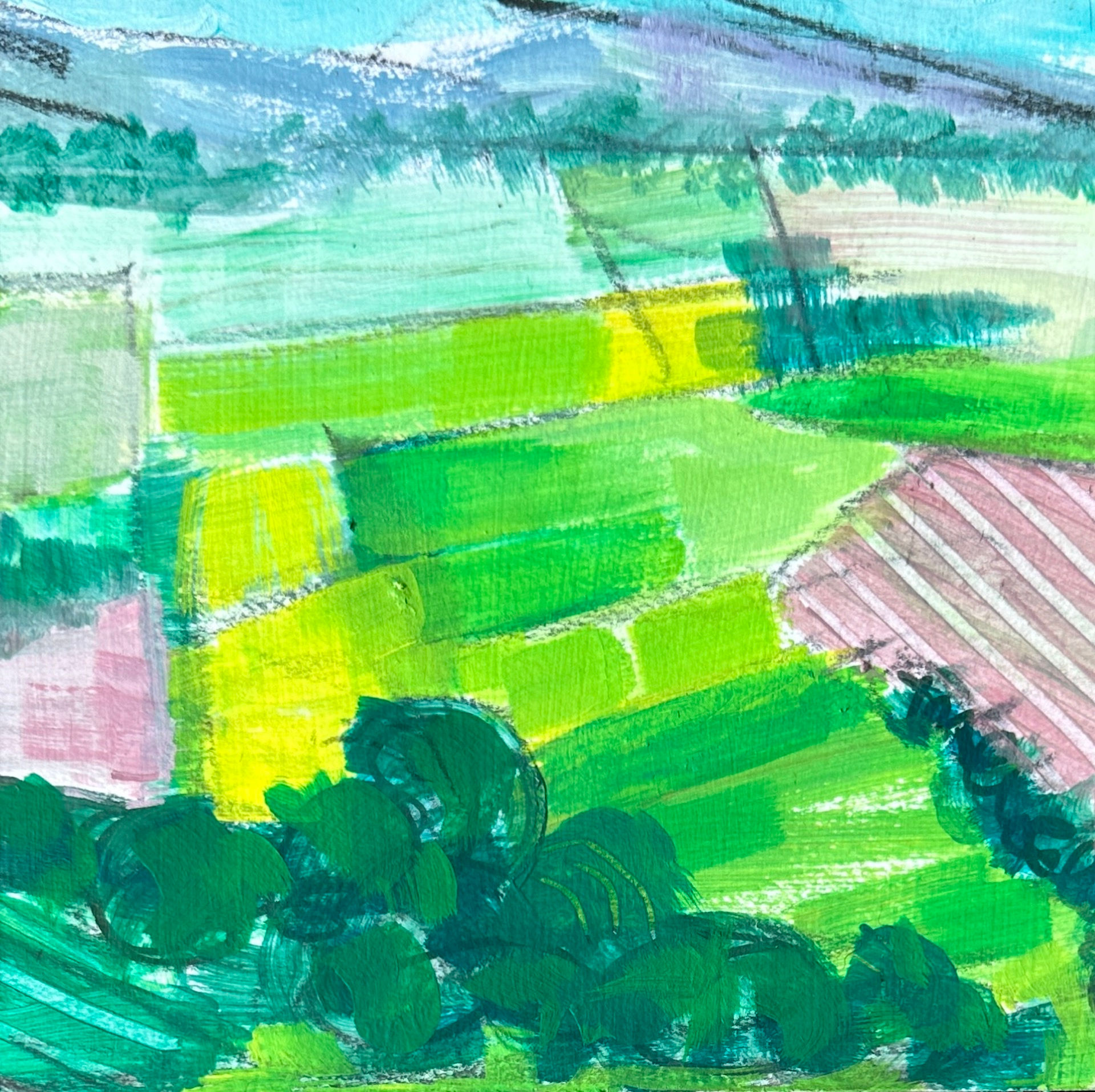 Spring Fields (No 1)