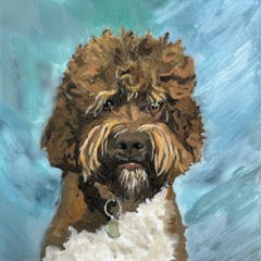 dog 2.jpeg