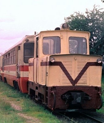 29