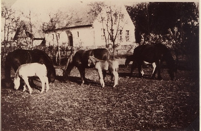 Widok budynku szkoły w roku 1942.jpg
