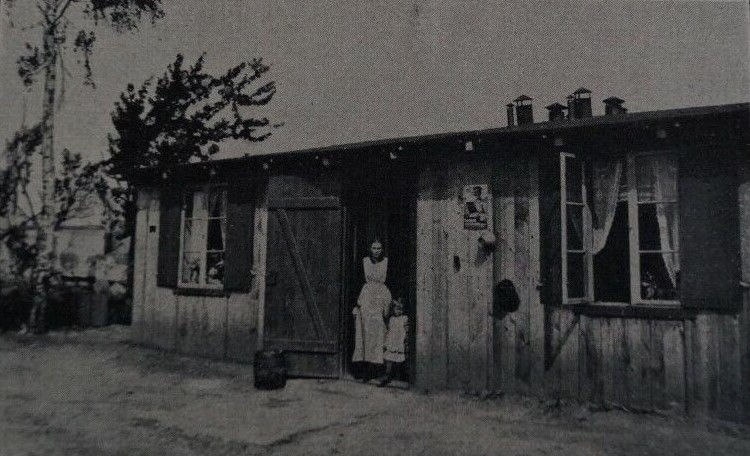 36