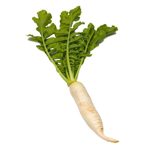 horseradish2.gif