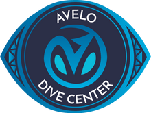 Avelo Badge