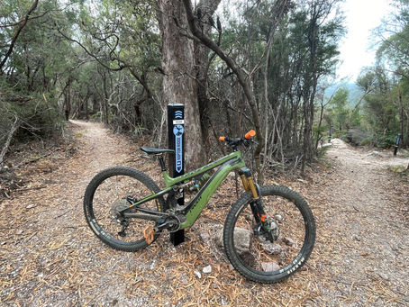 mtb at junction of 'Raptor Ridge' and 'Echidin' Me' mtb trails