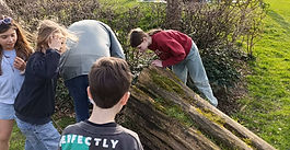 Geocache wandeling H.Familie te Schoten