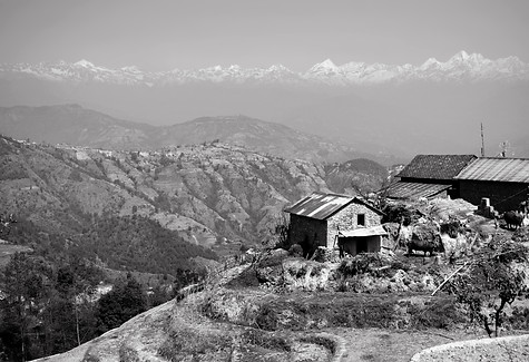 SITE nagargot farm 2021.jpg