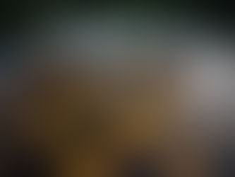 Bitcoins und der Minsky-Moment