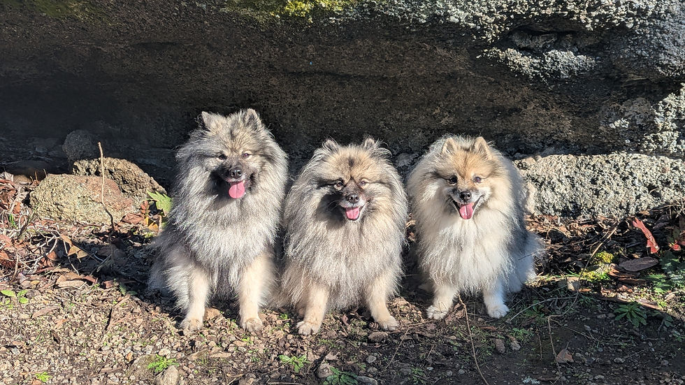 PXL_20260116_202944862