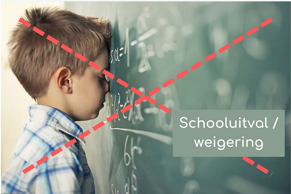 Als het echt anders moet: Een pleidooi voor rust en maatwerk bij schooluitval