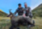 CHAMOIS