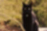 230802_Bild_Team_Mia.jpg