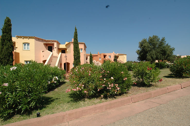 DSC_3843.JPG