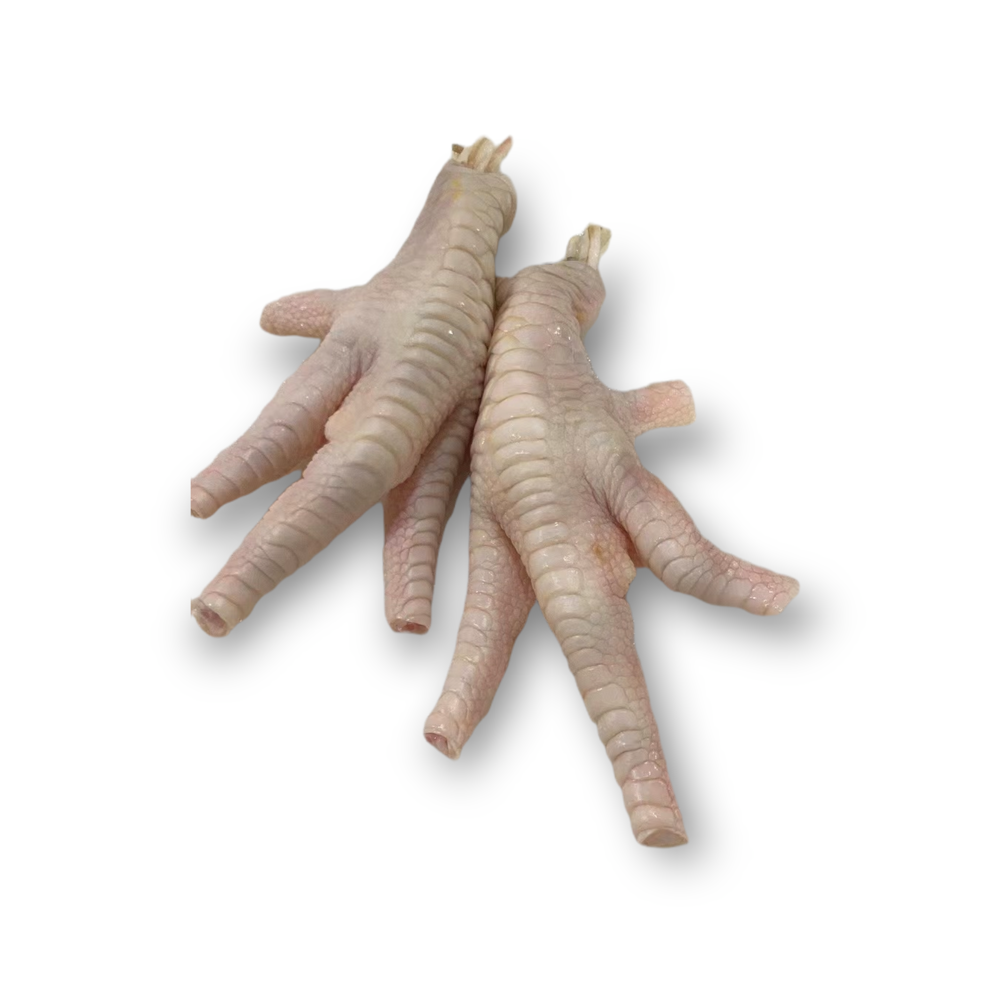 Clipped Chicken Paws | 30 lb / cs | Frozen | Midland