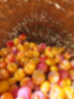 20230815_155438.jpg