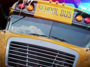 School bus hits power pole in Wayne County