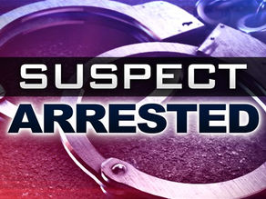 A Logan County man is the eighth person charged in an alleged plot to attack the UFC Freedom 250 event at the White House on June 14.